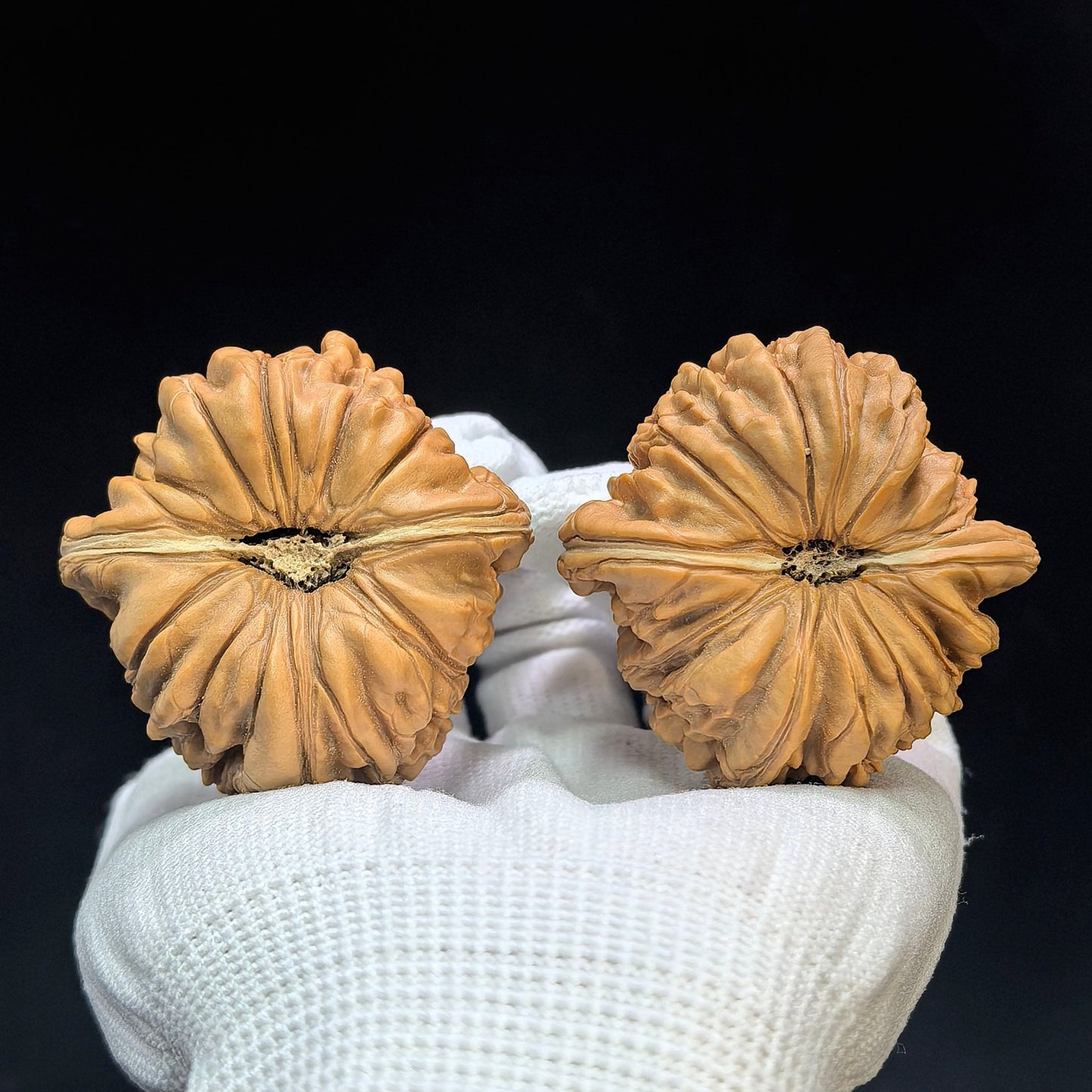 "Huakun Dragon" Huakunlong Low-Profile Wenwan Walnuts Pair | 50.0mm x 50.0mm | HKL-1504C - ThePatinaProject