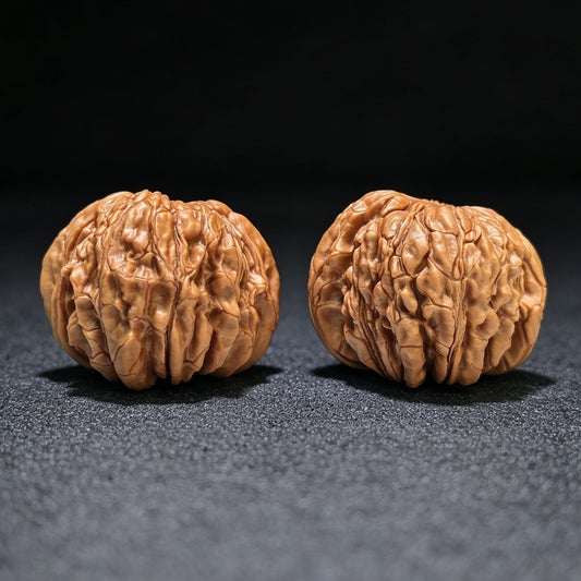 "Huakun Dragon" Huakunlong Wenwan Walnuts Pair | 48.0mm x 46.0mm | HKL-1551C - ThePatinaProject