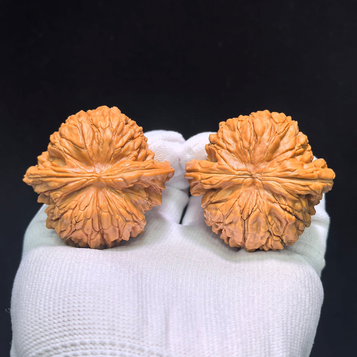 "Huakun Dragon" Huakunlong Wenwan Walnuts Pair | 48.0mm x 46.0mm | HKL-1551C - ThePatinaProject