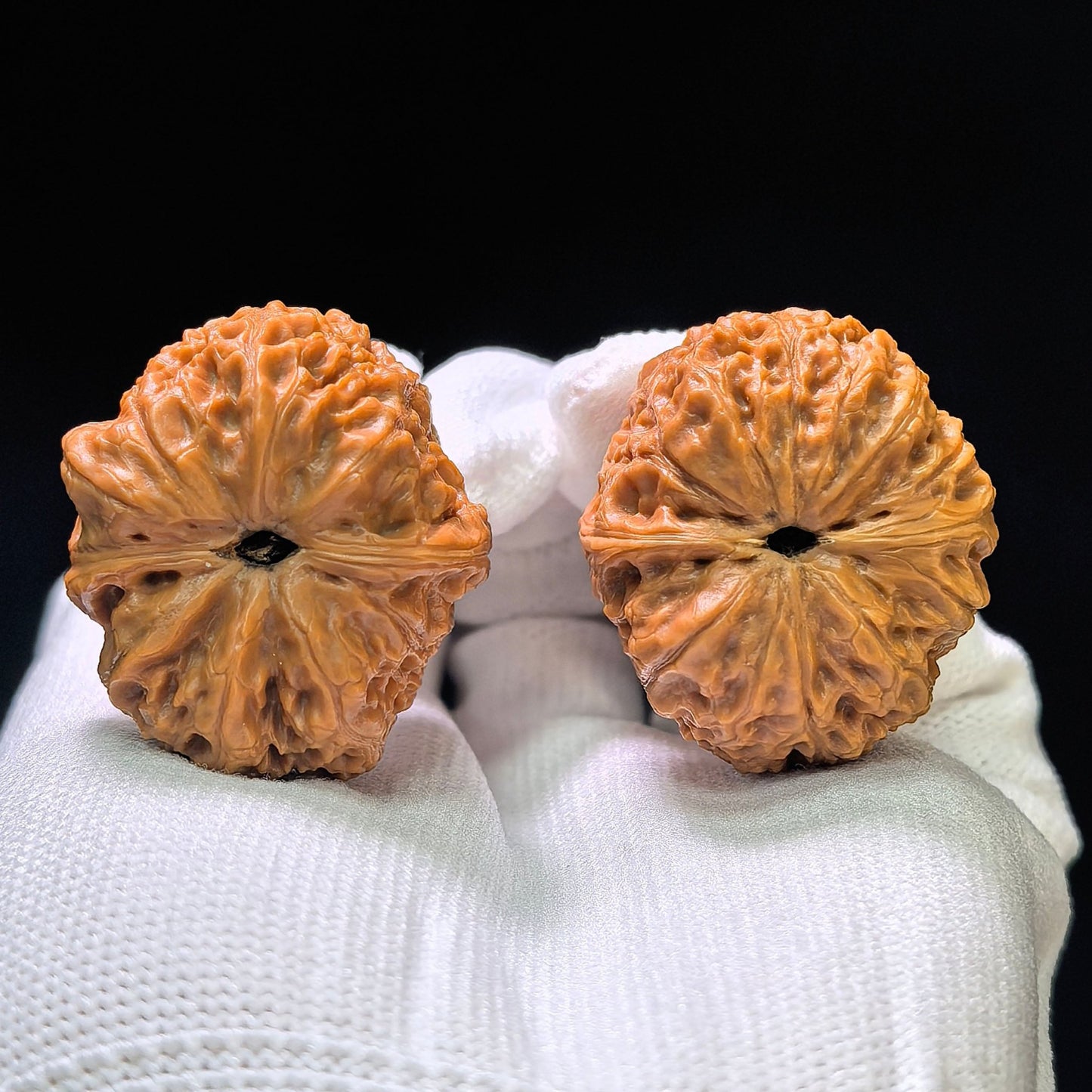 "Huangsongyu" (Huang Song Yu) Wild Niche Scholar Walnuts Pair | Compact 31.0mm x 35.0mm | Deep-Belly Pocket Format | Stock ID: HSY-1101 - ThePatinaProject