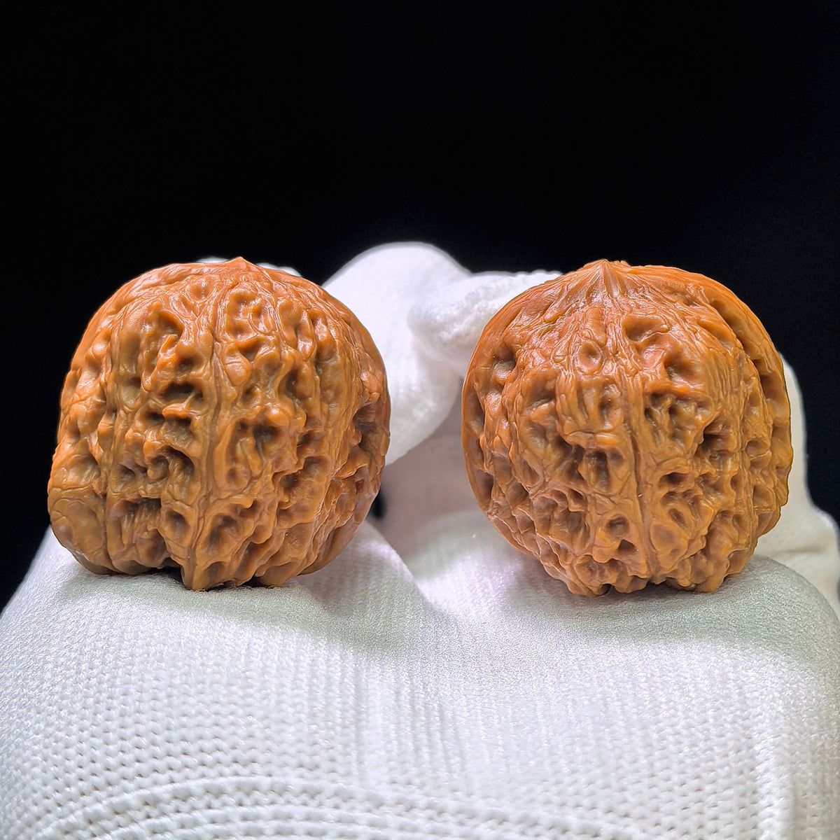 "Huangsongyu" (Huang Song Yu) Wild Niche Scholar Walnuts Pair | Compact 31.0mm x 35.0mm | Deep-Belly Pocket Format | Stock ID: HSY-1101 - ThePatinaProject