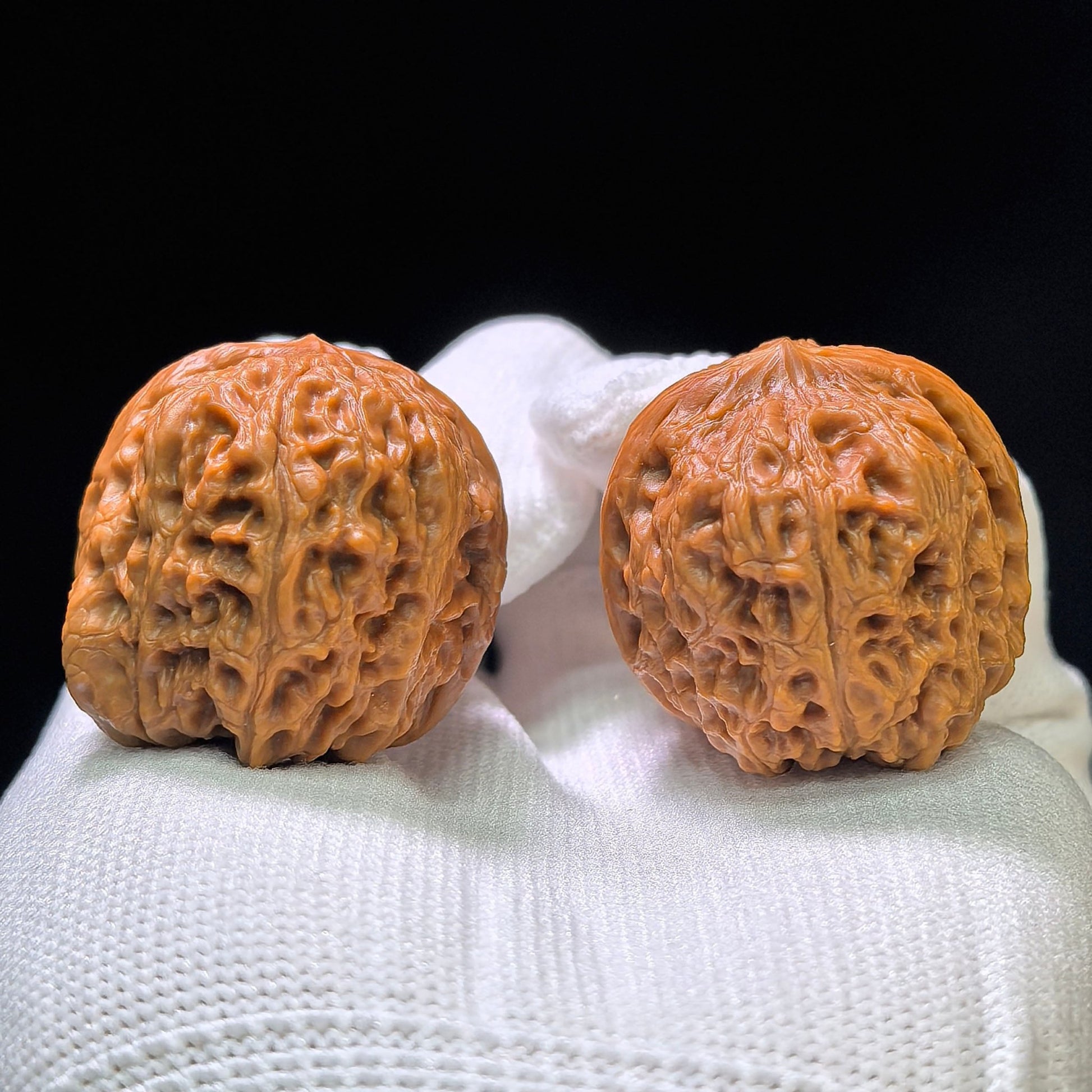"Huangsongyu" (Huang Song Yu) Wild Niche Scholar Walnuts Pair | Compact 31.0mm x 35.0mm | Deep-Belly Pocket Format | Stock ID: HSY-1101 - ThePatinaProject