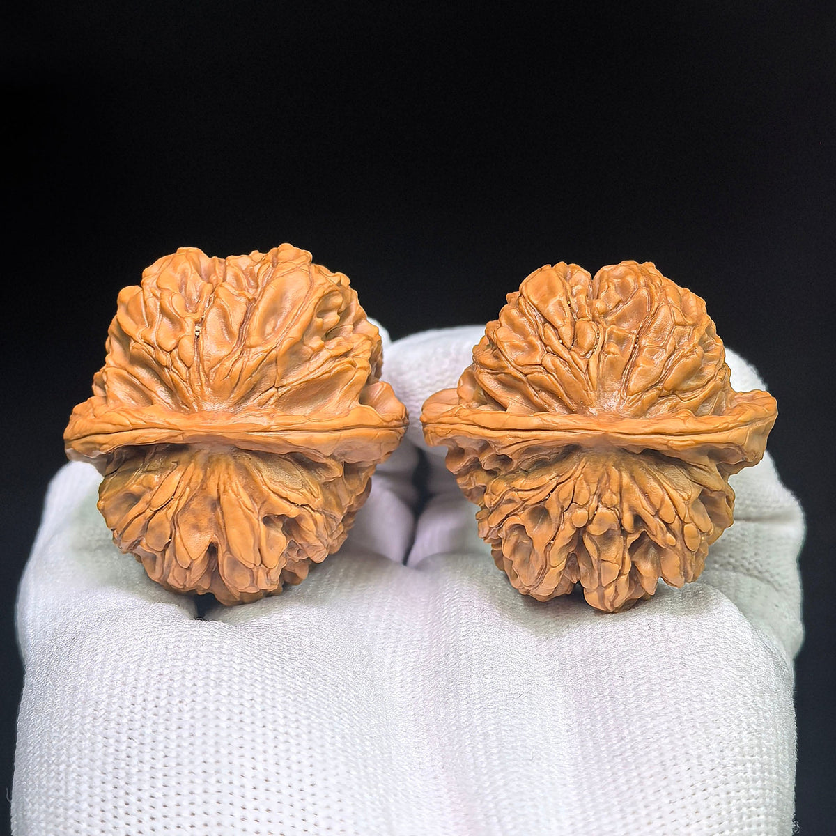 “Hundred Beasts” Tian Can Jiao Wenwan Walnut Pair | Wild Sculptural Form | 39.0mm × 43.0mm | BSTC-C1D7E - ThePatinaProject