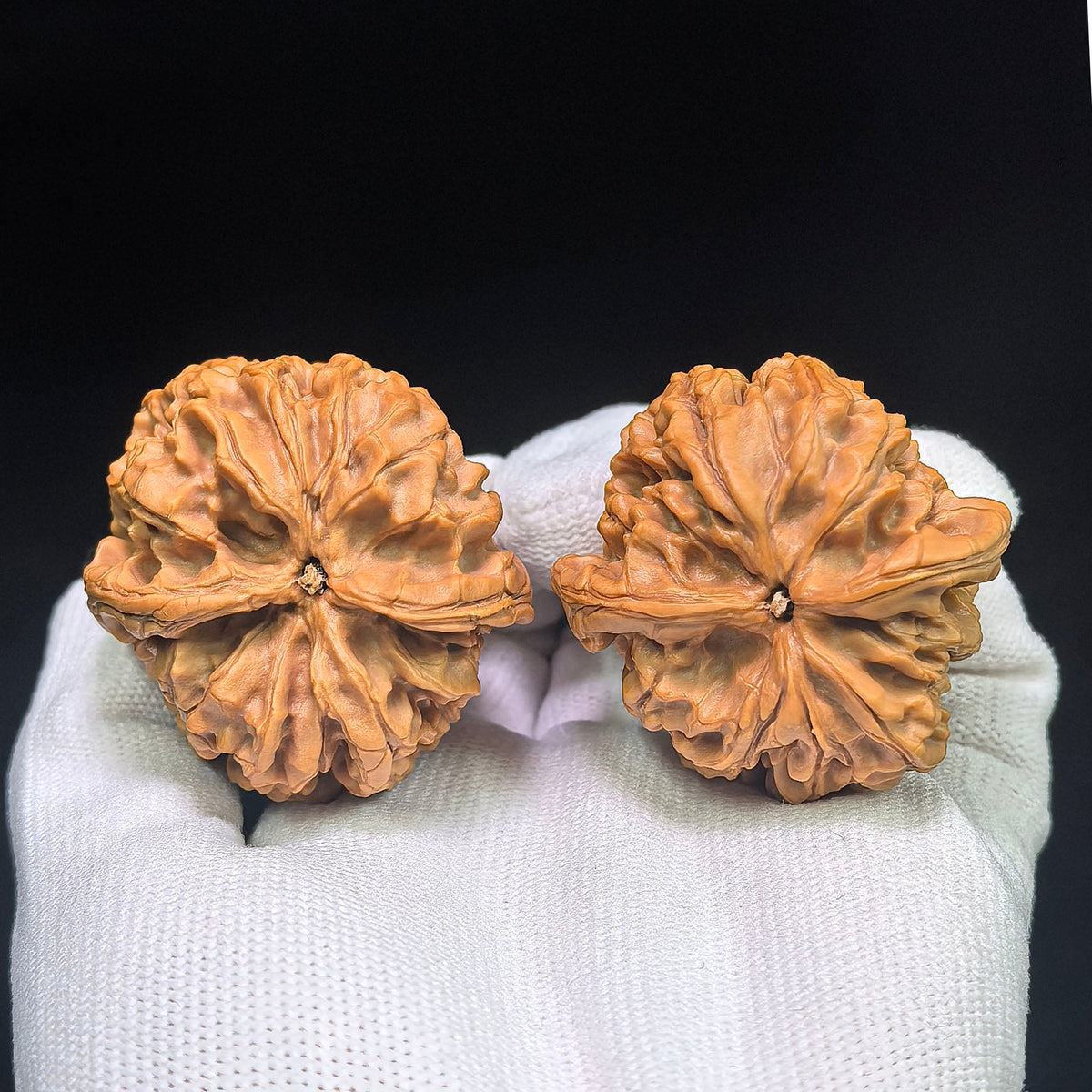 “Hundred Beasts” Tian Can Jiao Wenwan Walnut Pair | Wild Sculptural Form | 39.0mm × 43.0mm | BSTC-C1D7E - ThePatinaProject