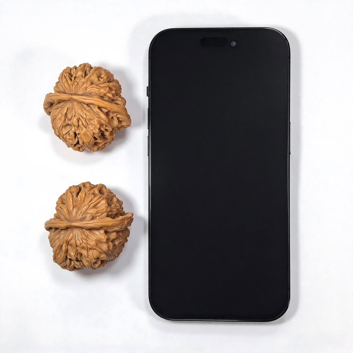 “Hundred Beasts” Tian Can Jiao Wenwan Walnut Pair | Wild Sculptural Form | 39.0mm × 43.0mm | BSTC-C1D7E - ThePatinaProject