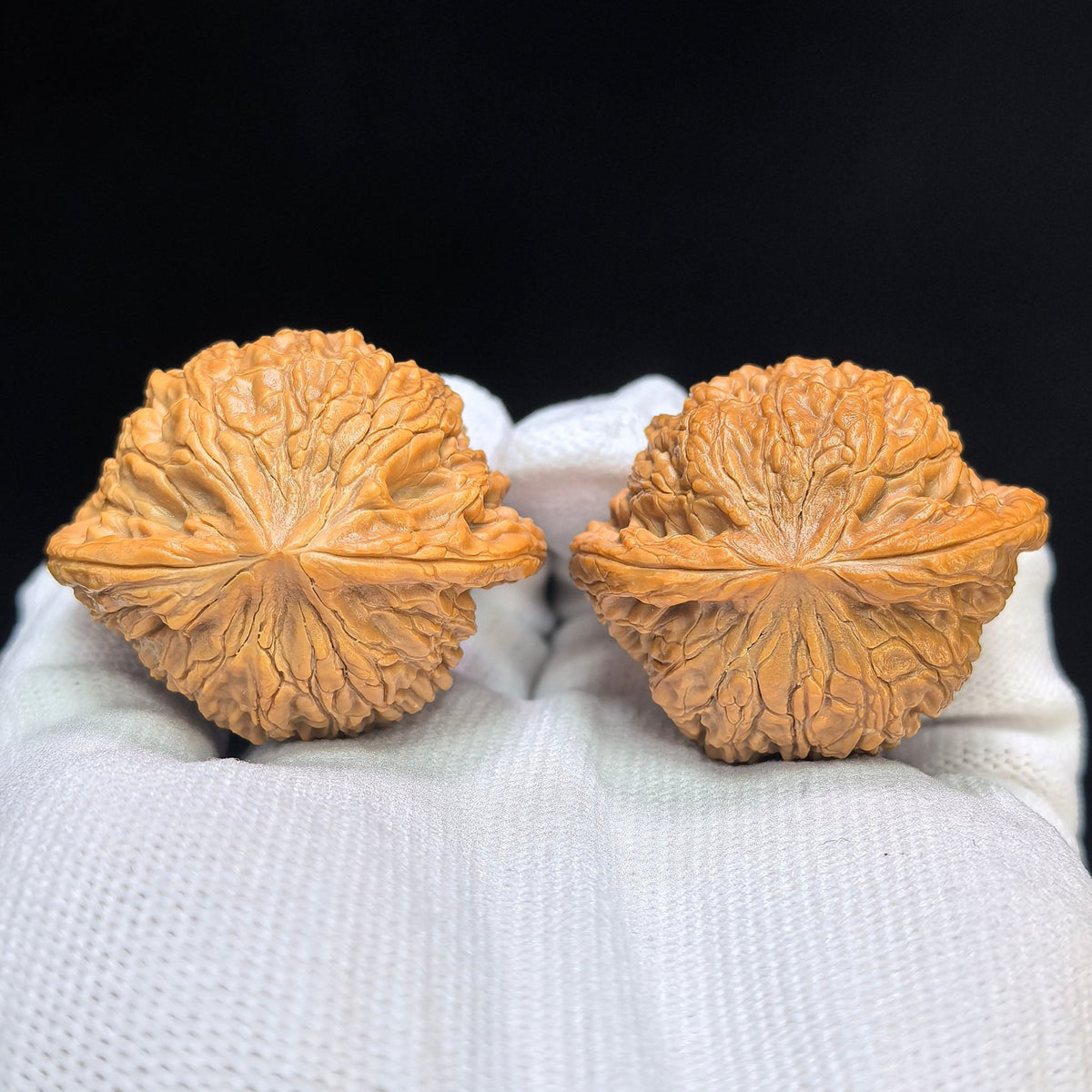 "Hydrangea" Xiuqiu Wenwan Walnuts Pair | 41.0mm x 34.0mm | XQ-101SY - ThePatinaProject