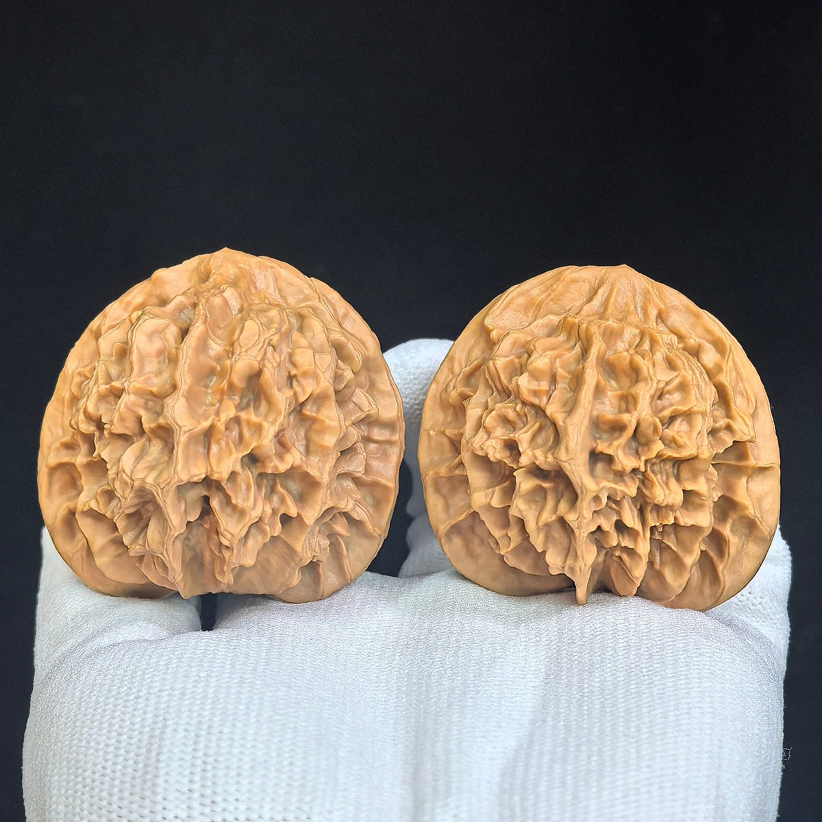 "Imperial Chinese Grand Bloom / Di Wang (Zhong Hua Da Hua)" Heirloom Collection Wenwan Walnuts Pair | 47.0mm x 45.0mm | DWZHDH-401 - ThePatinaProject