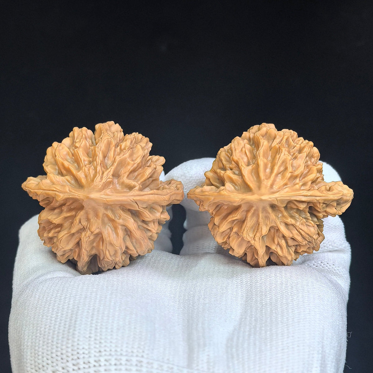 "Imperial Chinese Grand Bloom / Di Wang (Zhong Hua Da Hua)" Heirloom Collection Wenwan Walnuts Pair | 47.0mm x 45.0mm | DWZHDH-401 - ThePatinaProject