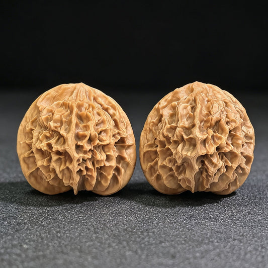 "Imperial Chinese Grand Bloom / Di Wang (Zhong Hua Da Hua)" Heirloom Collection Wenwan Walnuts Pair | 47.0mm x 45.0mm | DWZHDH-401 - ThePatinaProject