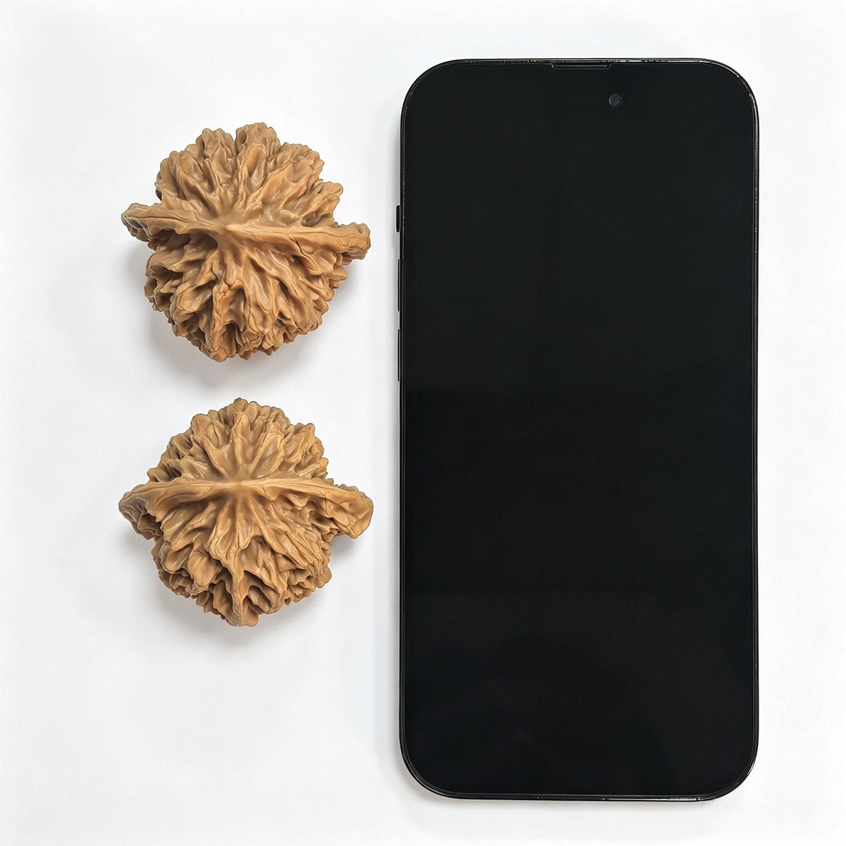 "Imperial Chinese Grand Bloom / Di Wang (Zhong Hua Da Hua)" Heirloom Collection Wenwan Walnuts Pair | 47.0mm x 45.0mm | DWZHDH-401 - ThePatinaProject