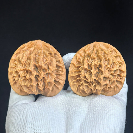"Imperial Chinese Grand Bloom / Di Wang (Zhong Hua Da Hua)" Heirloom Collection Wenwan Walnuts Pair | 47.0mm x 45.0mm | DWZHDH-401 - ThePatinaProject