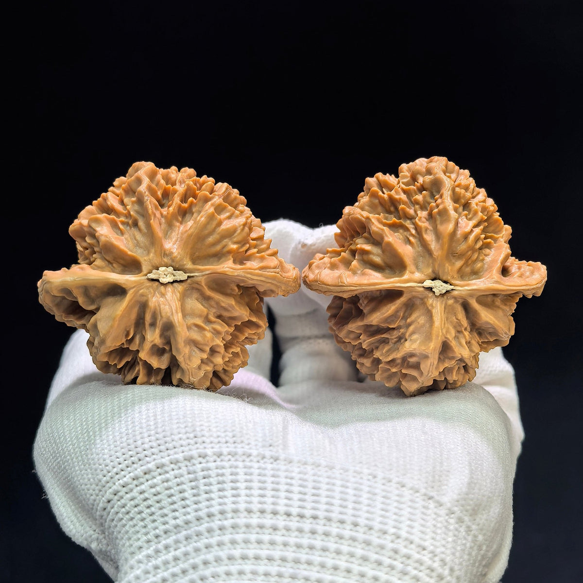 "Imperial Crown" Diwang DW-1601 Wenwan Walnuts Pair | 47.0mm x 46.0mm | DW-1601 - ThePatinaProject