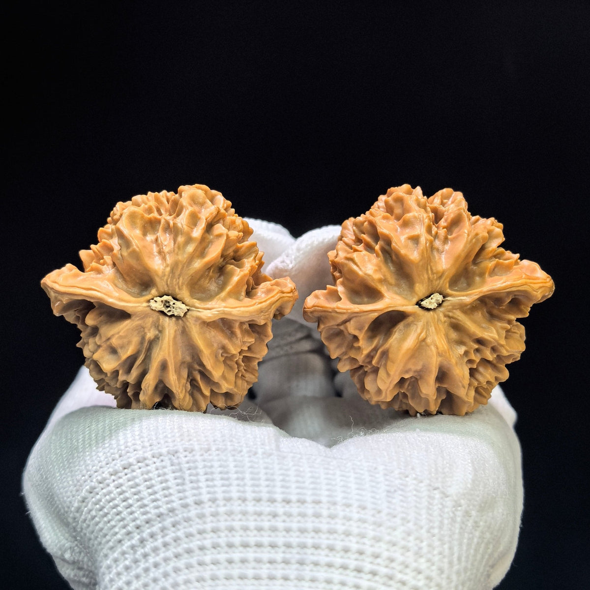 "Imperial Crown" Diwang DW-1602 Wenwan Walnuts Pair | 46.0mm x 43.0mm | DW-1602 - ThePatinaProject
