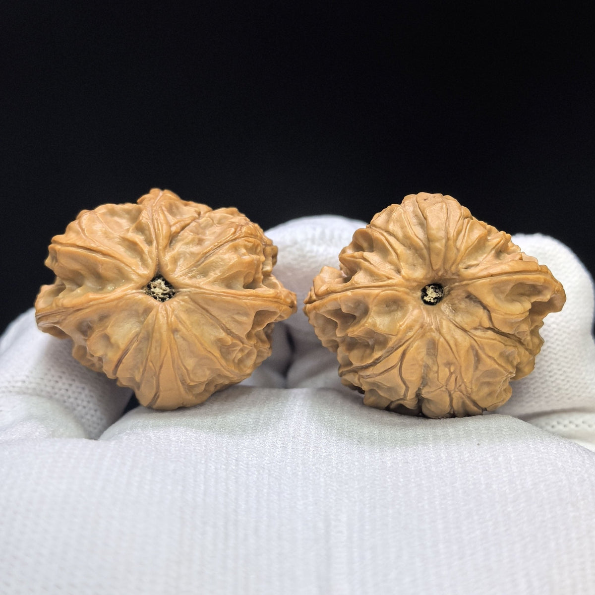"Imperial Jade Seal Horizontal Cross" Yuxi Sileng Hengshizi Four-Ribbed Wenwan Walnuts Pair | 31.0mm x 36.0mm | YSFN-C2211E - ThePatinaProject