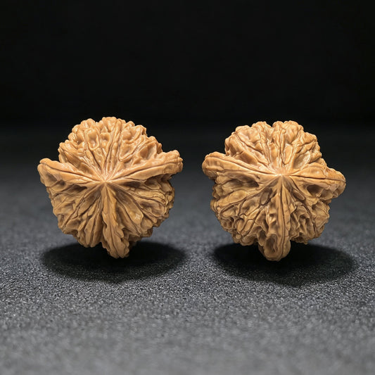 "Imperial Jade Seal Three-Ribbed" Yuxi Sanleng Multi-Ribbed Wenwan Walnuts Pair | 41.0mm x 40.0mm | YSSN-C223E - ThePatinaProject