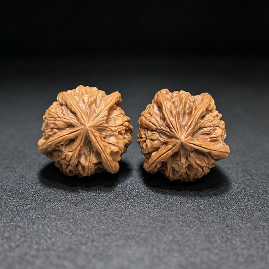 "Imperial Jade Seal X-Men" Yuxi Sileng X-Zhanjing Four-Ribbed Wenwan Walnuts Pair | 36.0mm x 37.0mm | YSFN-C229E - ThePatinaProject
