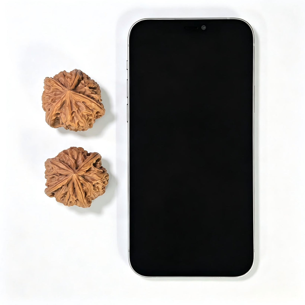 "Imperial Jade Seal X-Men" Yuxi Sileng X-Zhanjing Four-Ribbed Wenwan Walnuts Pair | 36.0mm x 38.0mm | YSFN-C2210E - ThePatinaProject