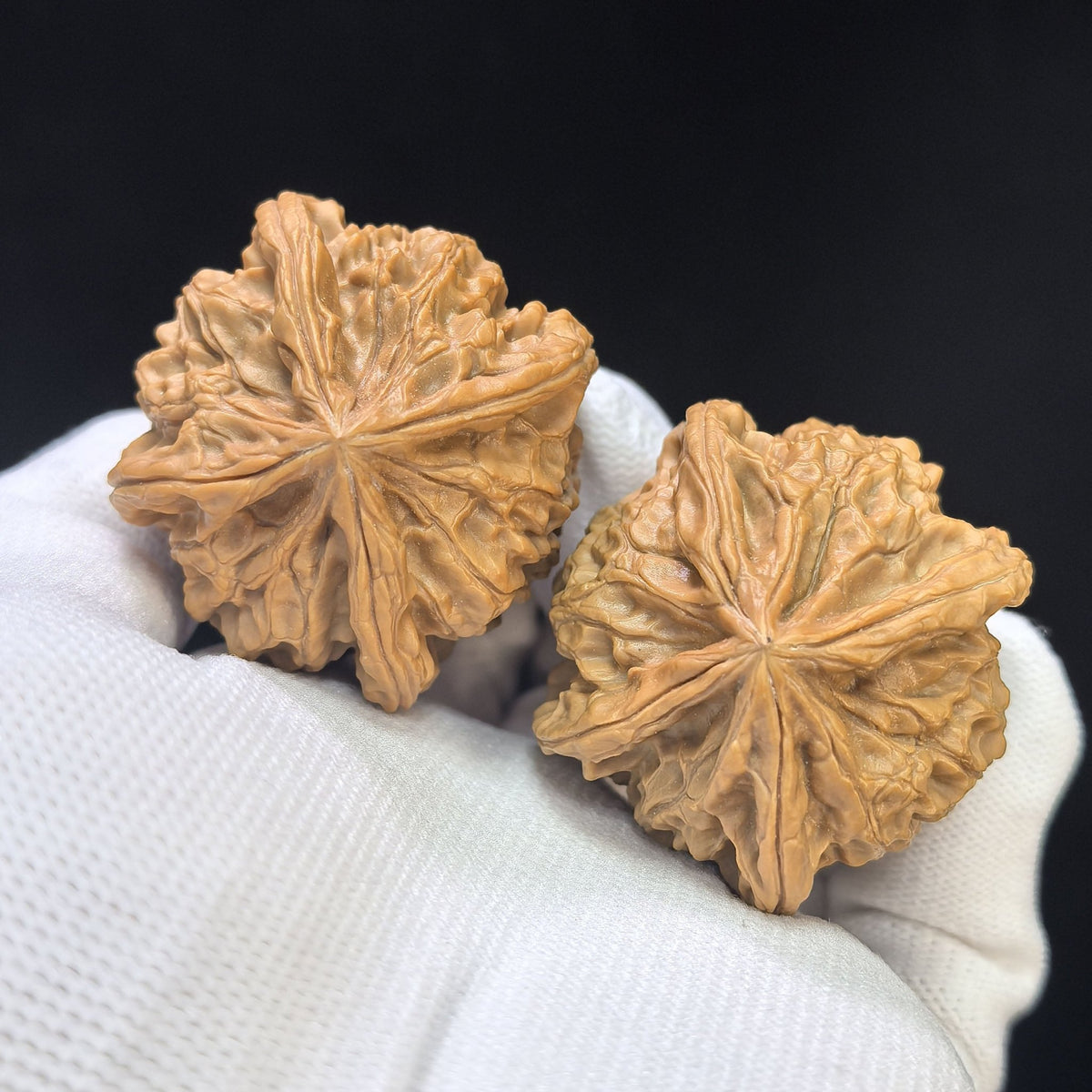 "Imperial Jade Seal X-Men" Yuxi Sileng X-Zhanjing Four-Ribbed Wenwan Walnuts Pair | 41.0mm x 40.0mm | YSFN-C227E - ThePatinaProject