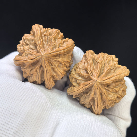 "Imperial Jade Seal X-Men" Yuxi Sileng X-Zhanjing Four-Ribbed Wenwan Walnuts Pair | 41.0mm x 40.0mm | YSFN-C227E - ThePatinaProject