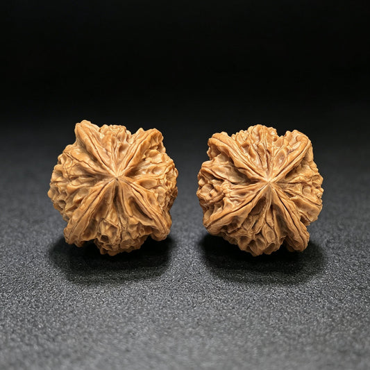 "Imperial Jade Seal X-Men" Yuxi Sileng X-Zhanjing Four-Ribbed Wenwan Walnuts Pair | 41.0mm x 40.0mm | YSFN-C227E - ThePatinaProject