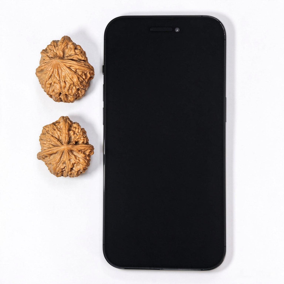 “Imperial Seal” Yuxi Sanleng Three-Ridged Wenwan Walnut Pair | 33.0mm × 37.0mm | YX-C1E5E - ThePatinaProject