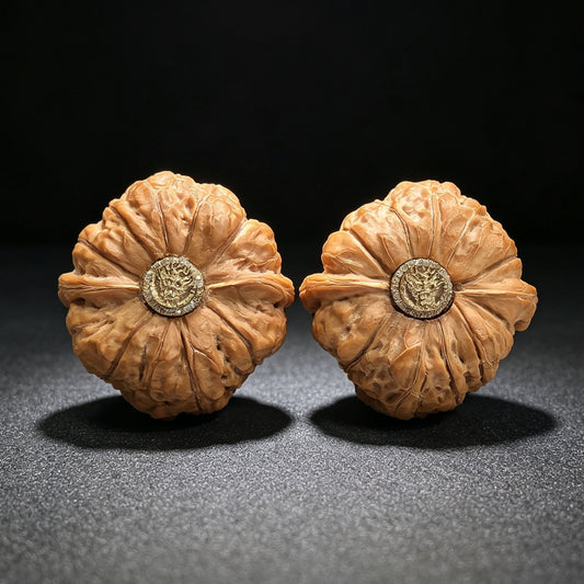 "Inlaid Dragon Head Pumpkin Pier" (Nanguadun Xiangqian Longshou) Scholar Walnuts Pair | 42.0mm x 41.0mm Near-Isometric Low Profile | S-Grade Artisan Masterpiece | Stock ID: NGDXQ-SY1I7 - ThePatinaProject
