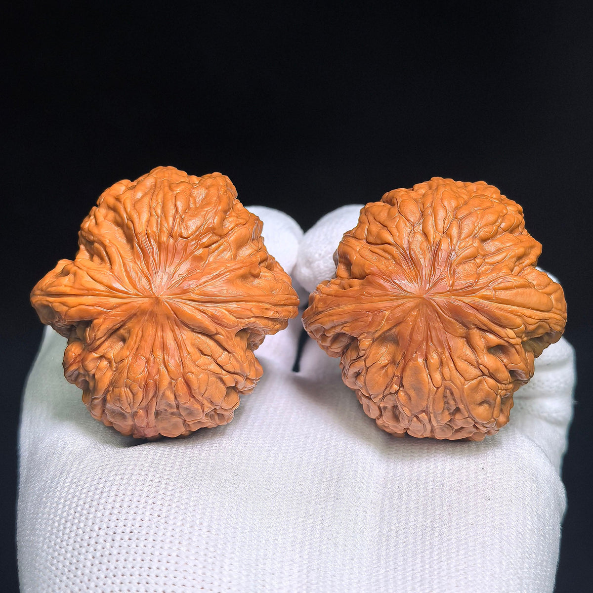 "Iron Hammer" Tiechui TC-CWB3E Wenwan Walnuts Collector Pair | 46.0mm x 48.0mm | Stock ID: TC-CWB3E - ThePatinaProject