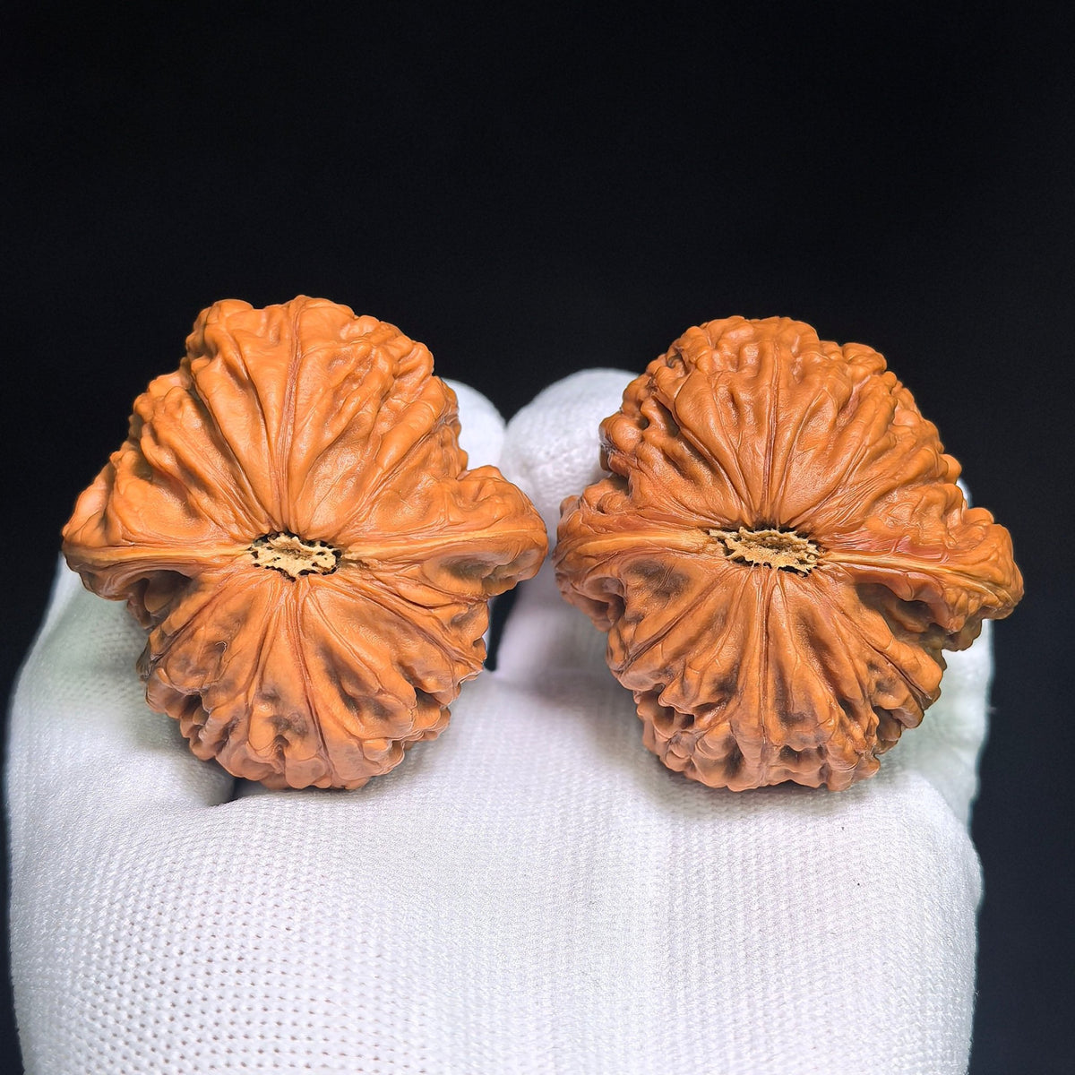 "Iron Hammer" Tiechui TC-CWB3E Wenwan Walnuts Collector Pair | 46.0mm x 48.0mm | Stock ID: TC-CWB3E - ThePatinaProject