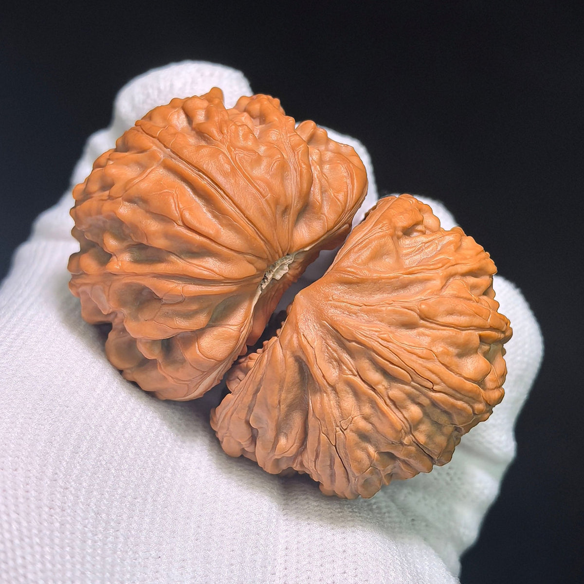 "Iron Hammer Treasure Bowl Snake Head" TieChui JuBaoPan SheTou TCJBP-CG1B1E Wenwan Walnuts Collector Pair | 41.0mm x 29.0mm | Stock ID: TCJBP-CG1B1E - ThePatinaProject