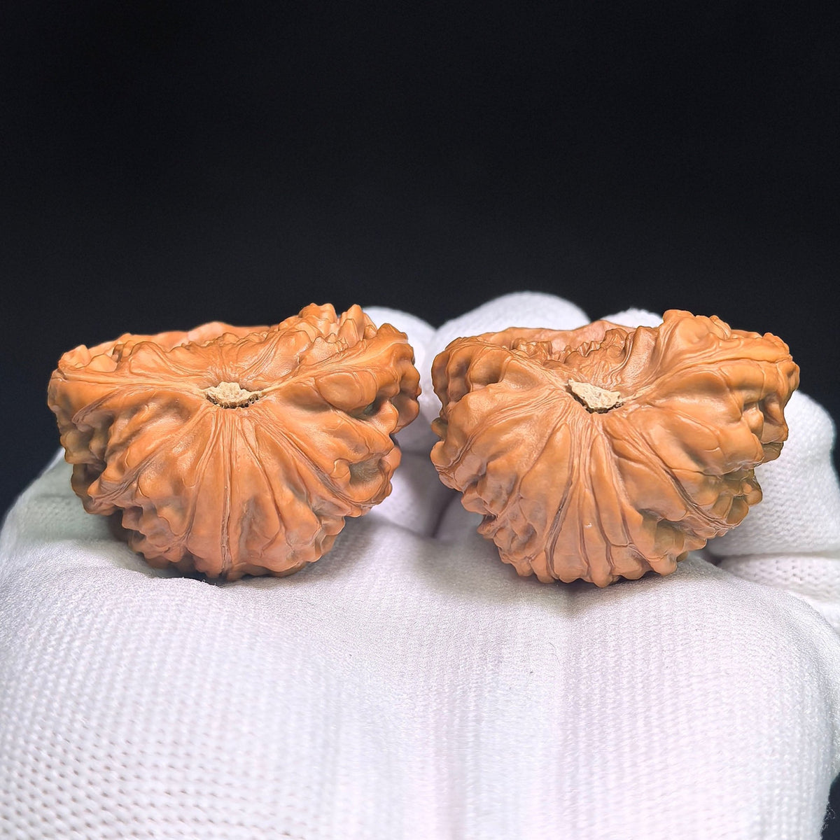 "Iron Hammer Treasure Bowl Snake Head" TieChui JuBaoPan SheTou TCJBP-CG1B1E Wenwan Walnuts Collector Pair | 41.0mm x 29.0mm | Stock ID: TCJBP-CG1B1E - ThePatinaProject