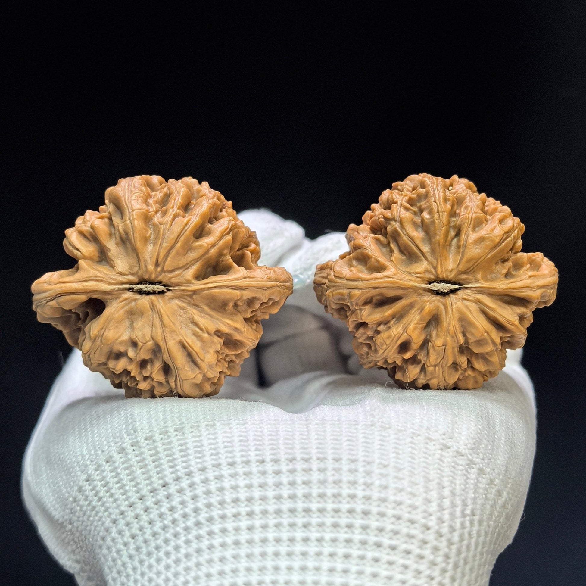 "King Tigerhead" Hutouwang Low-Profile Wenwan Walnuts Pair | 42.0mm x 39.0mm | HTW-1501C - ThePatinaProject
