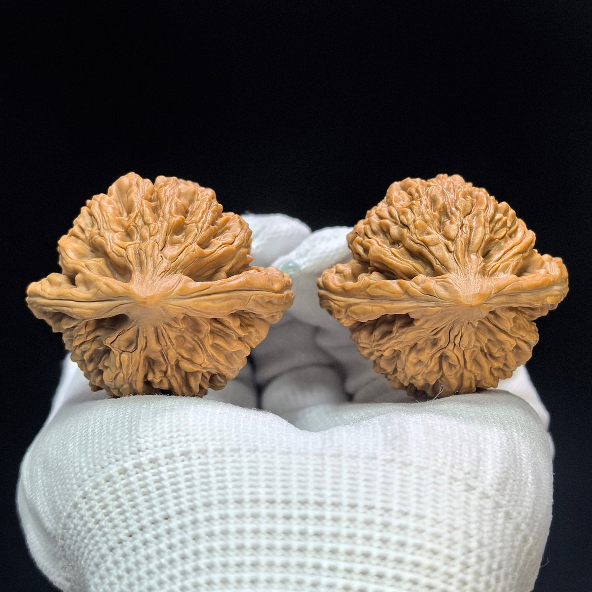 "King Tigerhead" Hutouwang Low-Profile Wenwan Walnuts Pair | 42.0mm x 39.0mm | HTW-1501C - ThePatinaProject