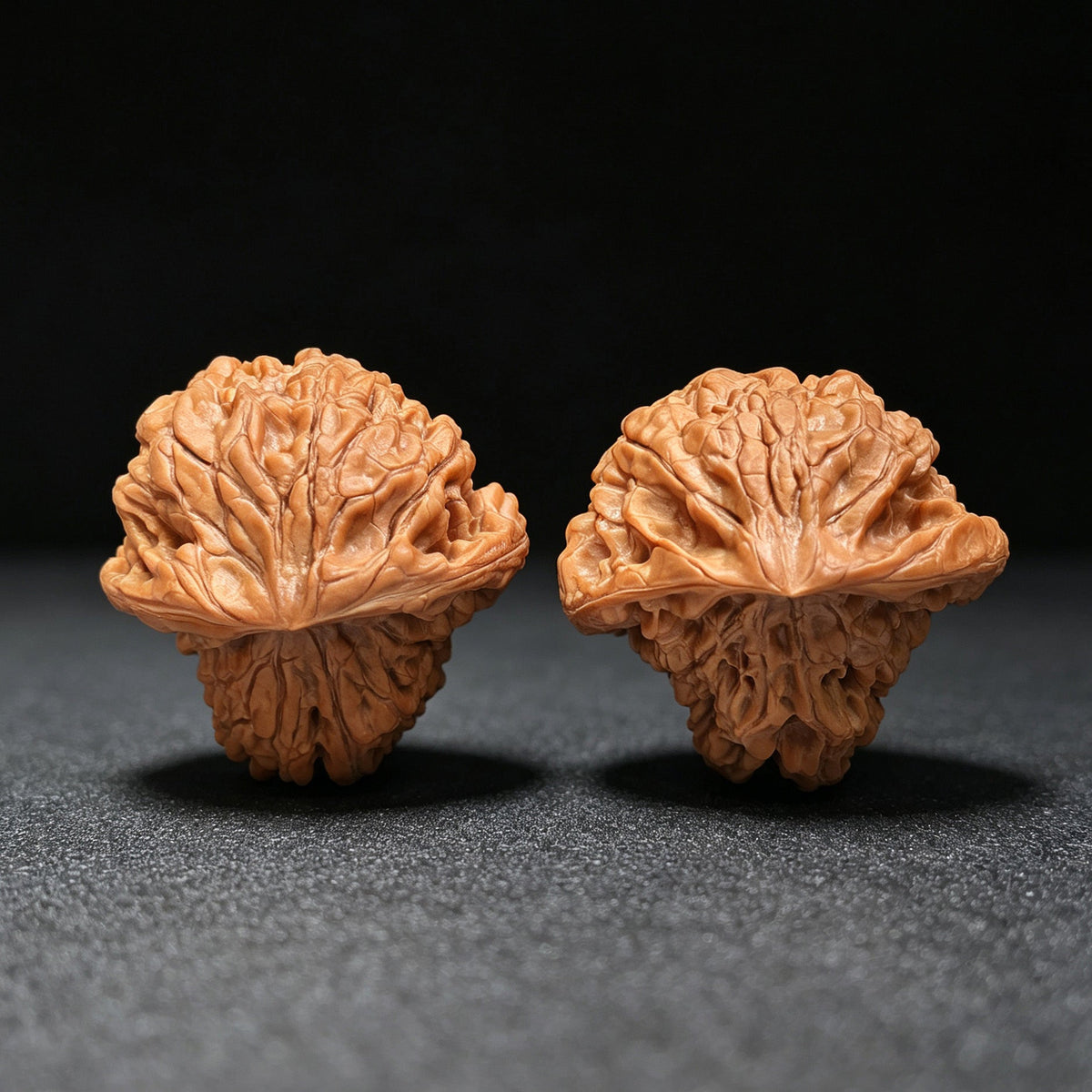 "Kirin Texture Mushroom Top" QLWMGT-CG1A9E Collector Lineage Shaped Wenwan Walnuts Pair | 47.0mm x 47.0mm | Stock ID: QLWMGT-CG1A9E - ThePatinaProject