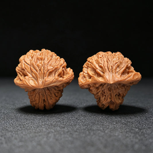 "Kirin Texture Mushroom Top" QLWMGT-CG1A9E Collector Lineage Shaped Wenwan Walnuts Pair | 47.0mm x 47.0mm | Stock ID: QLWMGT-CG1A9E - ThePatinaProject