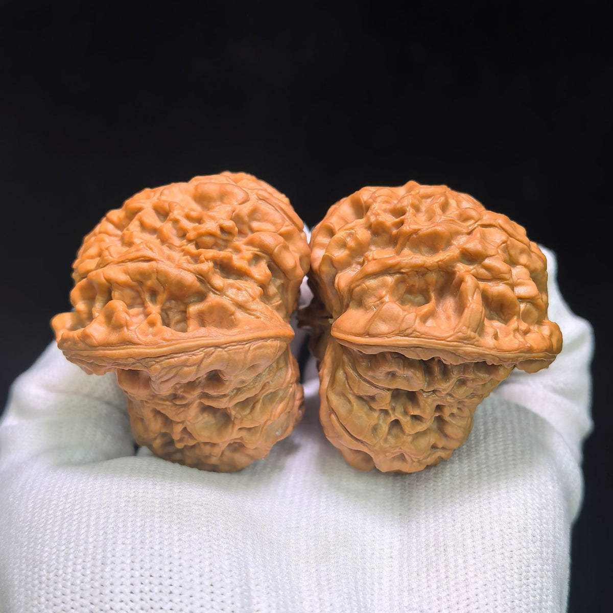 "Kirin Texture Mushroom Top" QLWMGT-CG1A9E Collector Lineage Shaped Wenwan Walnuts Pair | 47.0mm x 47.0mm | Stock ID: QLWMGT-CG1A9E - ThePatinaProject