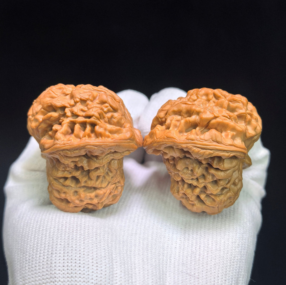 "Kirin Texture Mushroom Top" QLWMGT-CG1A9E Collector Lineage Shaped Wenwan Walnuts Pair | 47.0mm x 47.0mm | Stock ID: QLWMGT-CG1A9E - ThePatinaProject