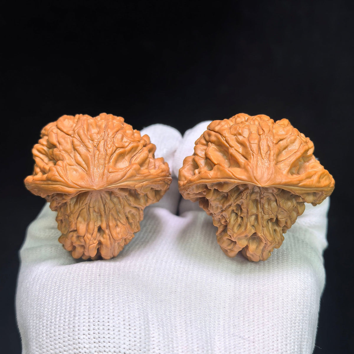 "Kirin Texture Mushroom Top" QLWMGT-CG1A9E Collector Lineage Shaped Wenwan Walnuts Pair | 47.0mm x 47.0mm | Stock ID: QLWMGT-CG1A9E - ThePatinaProject