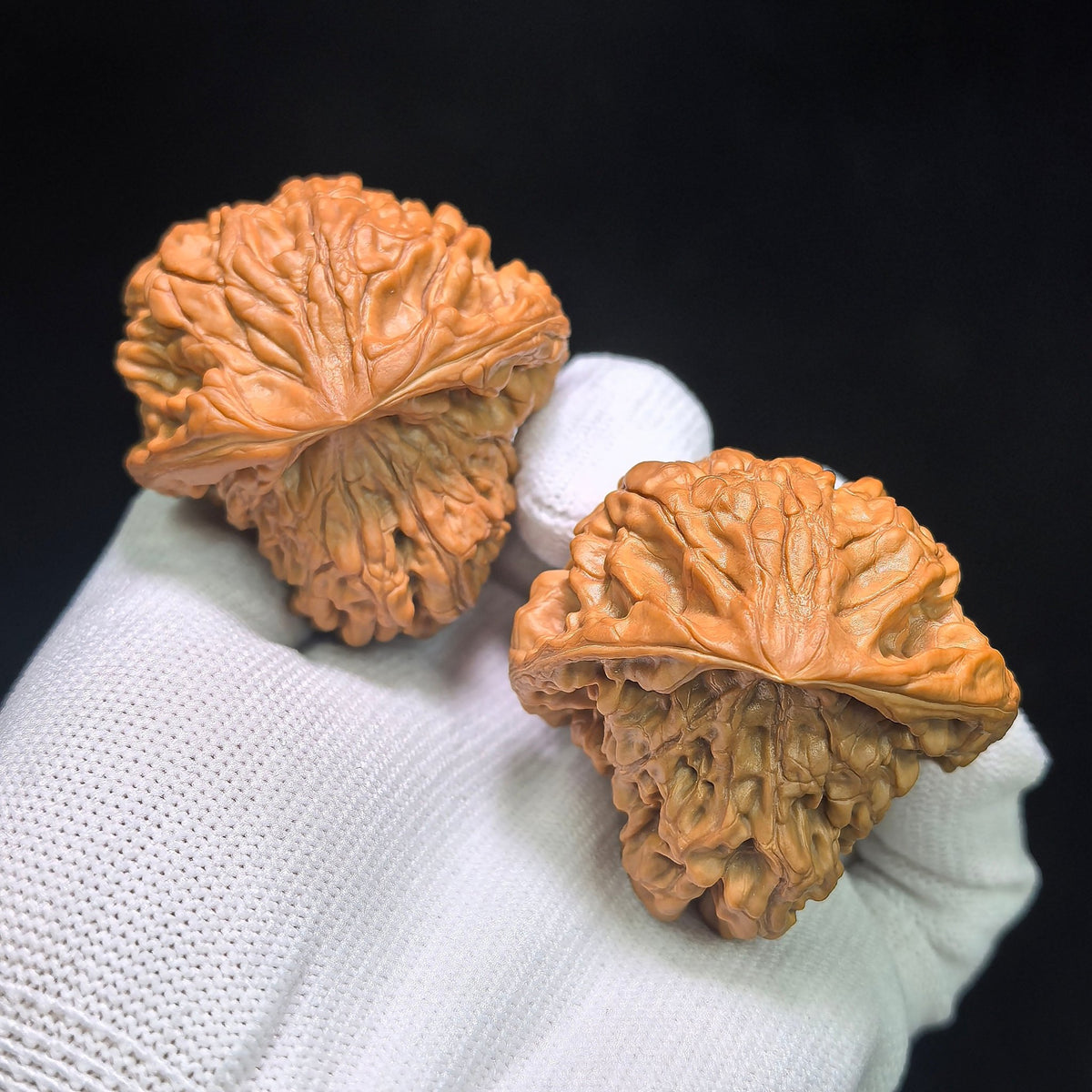 "Kirin Texture Mushroom Top" QLWMGT-CG1A9E Collector Lineage Shaped Wenwan Walnuts Pair | 47.0mm x 47.0mm | Stock ID: QLWMGT-CG1A9E - ThePatinaProject