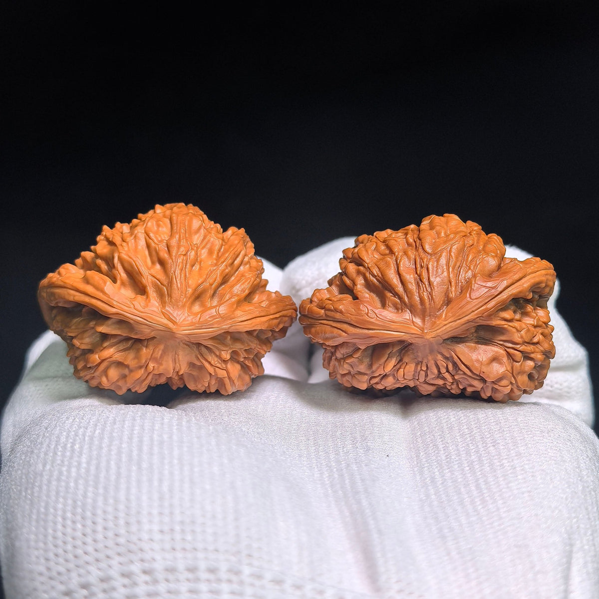 "Kylin Pattern Flying Serpent" QLWTSFS-CG1B5E Wenwan Walnuts Collector Pair | 43.0mm x 35.0mm | Stock ID: QLWTSFS-CG1B5E - ThePatinaProject