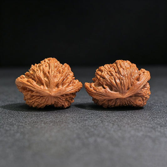 "Kylin Pattern Flying Serpent" QLWTSFS-CG1B5E Wenwan Walnuts Collector Pair | 43.0mm x 35.0mm | Stock ID: QLWTSFS-CG1B5E - ThePatinaProject