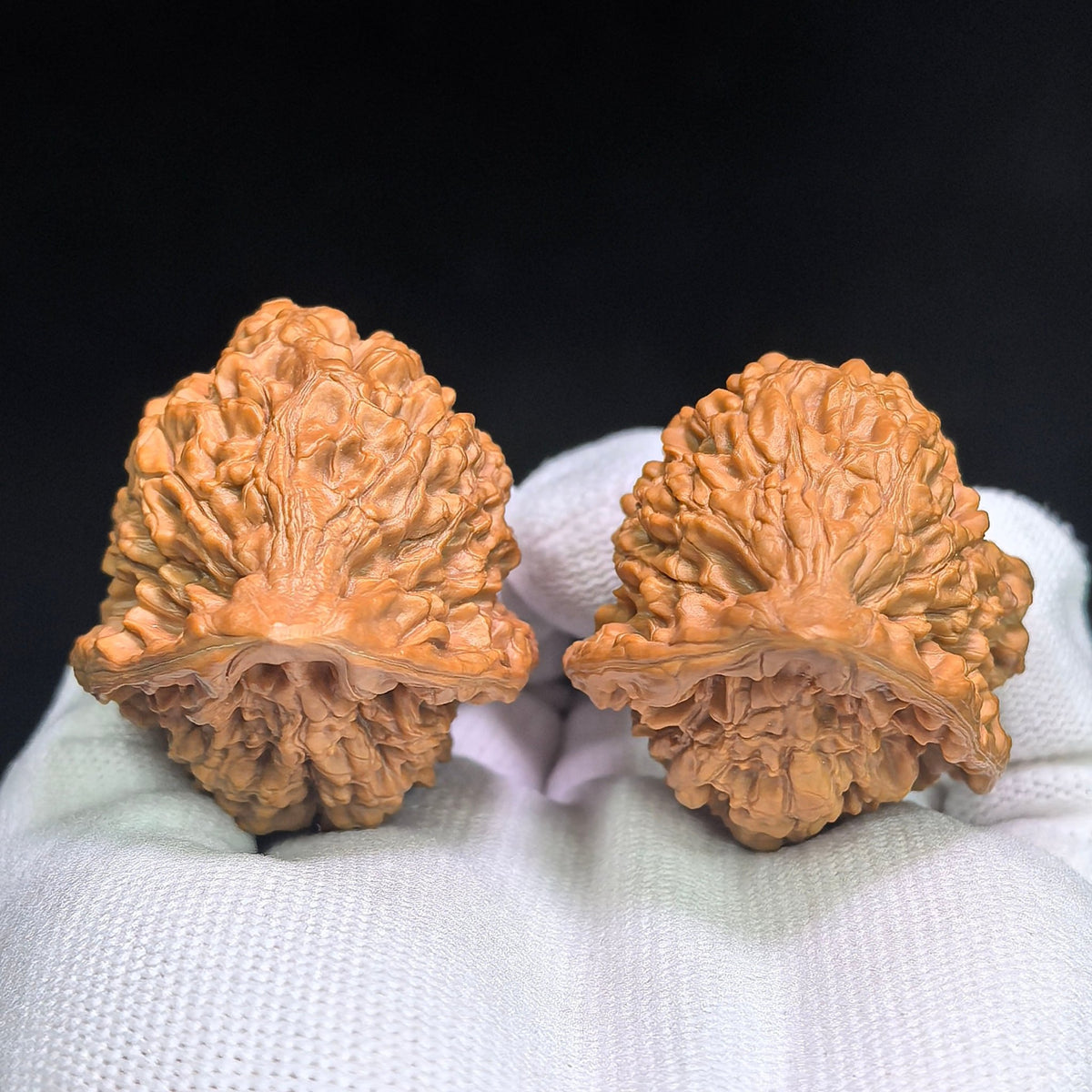 "Kylin Pattern Hedgehog" QLW-CG1A6E Collector Grade Wenwan Walnuts Pair | 37.0mm x 43.0mm | SKU: QLW-CG1A6E - ThePatinaProject
