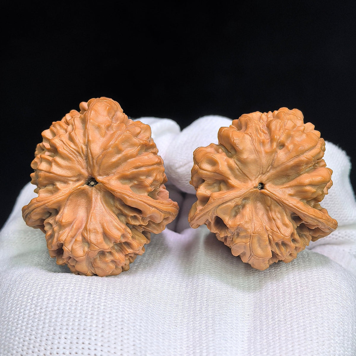 "Kylin Pattern Hedgehog" QLW-CG1A6E Collector Grade Wenwan Walnuts Pair | 37.0mm x 43.0mm | SKU: QLW-CG1A6E - ThePatinaProject