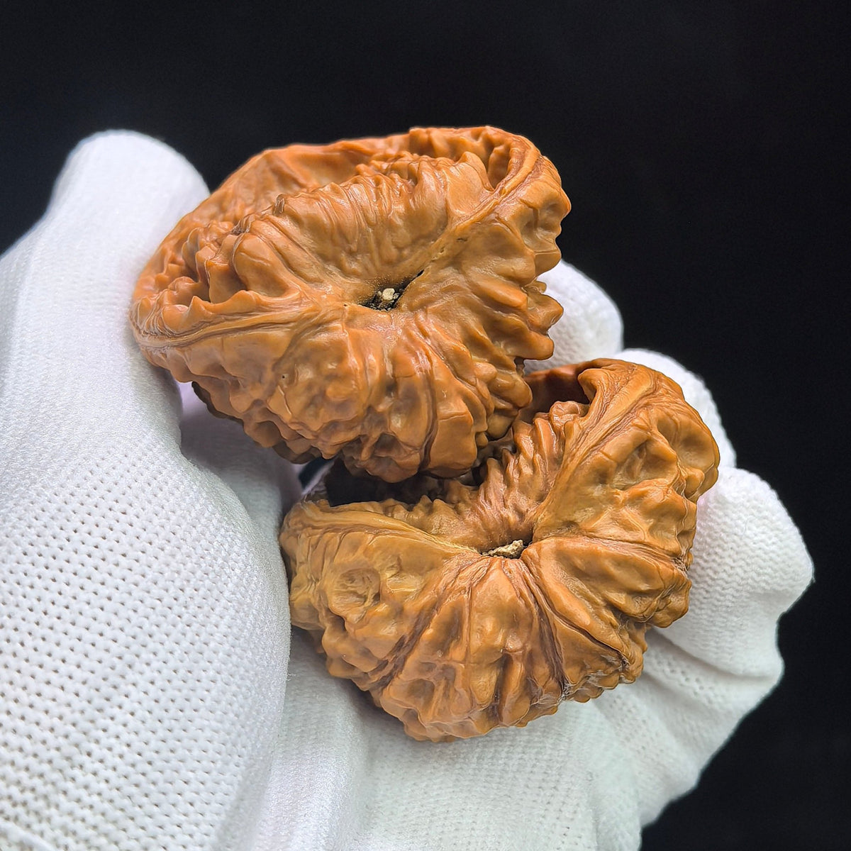 "Kylin Pattern Wealth Bowl Coiled Snake" Qilinwen Jubaopan Panshe QLW-CG240E Wenwan Walnuts Collector Pair | 48.0mm x 35.0mm | Stock ID: QLW-CG240E - ThePatinaProject