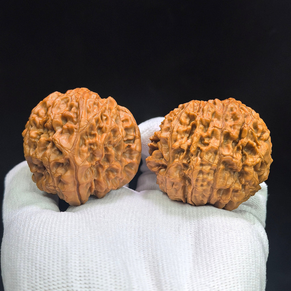 "Kylin Pattern Wealth Bowl Coiled Snake" Qilinwen Jubaopan Panshe QLW-CG240E Wenwan Walnuts Collector Pair | 48.0mm x 35.0mm | Stock ID: QLW-CG240E - ThePatinaProject
