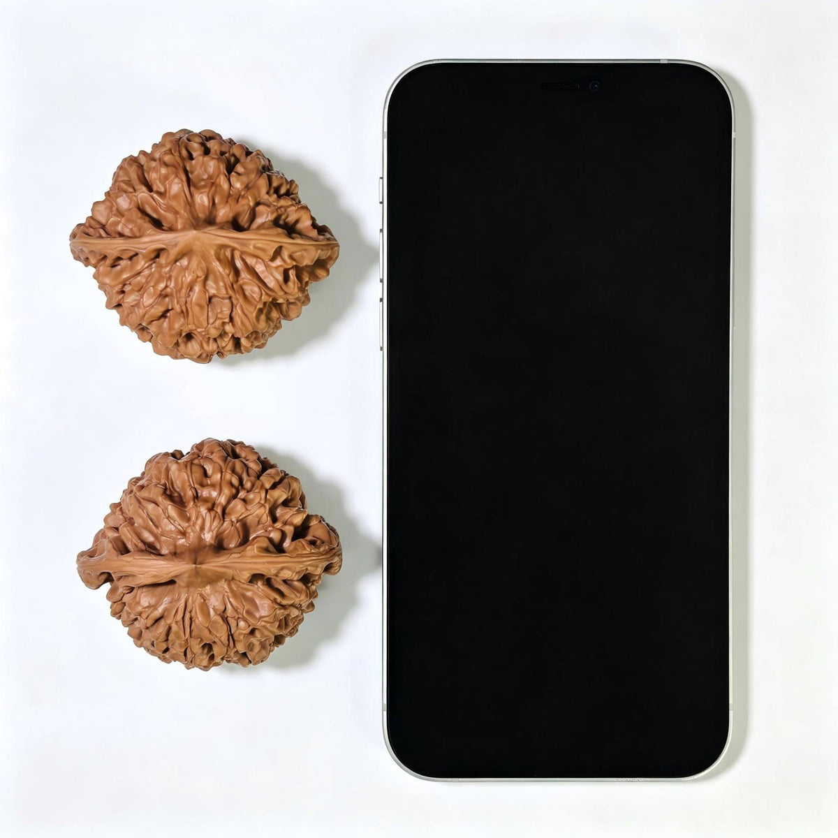 "Kylin Texture Low Profile Concave Base" Qilinwen Aizhuang Aodi Wenwan Walnuts Pair | 52.0mm x 46.0mm | QLW-1551C - ThePatinaProject