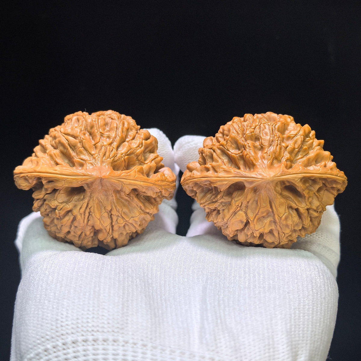"Kylin Texture Low Profile Concave Base" Qilinwen Aizhuang Aodi Wenwan Walnuts Pair | 52.0mm x 46.0mm | QLW-1551C - ThePatinaProject