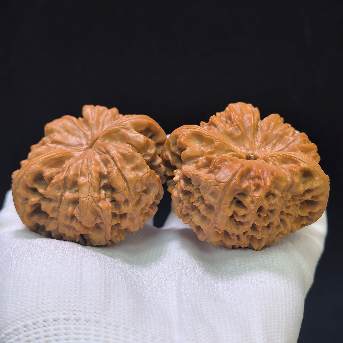 "Kylin Texture Low Profile Concave Base" Qilinwen Aizhuang Aodi Wenwan Walnuts Pair | 52.0mm x 46.0mm | QLW-1551C - ThePatinaProject