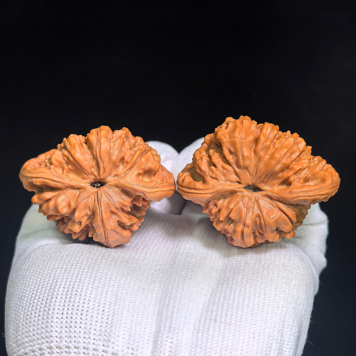"Kylin Texture Snake Head Treasure Bowl" Qilinwen Shetou Jubaopen Wenwan Walnuts Pair | 50.0mm x 47.0mm | QLWSTJBP-CG212E - ThePatinaProject