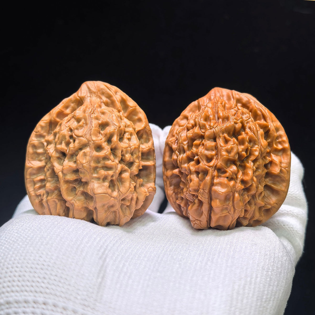 "Kylin Texture Vulture" Qilinwen Zuoshandiao Wenwan Walnuts Pair | 43.0mm x 42.0mm | QLWZSD-CG217E - ThePatinaProject