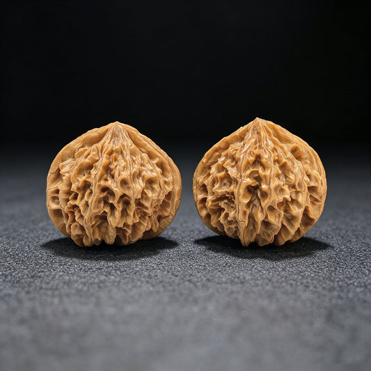 "Lantern Lionhead" Denglong Shizitou Classic Heritage Wenwan Walnuts Pair | 41.0mm x 39.0mm | DL-1501C - ThePatinaProject
